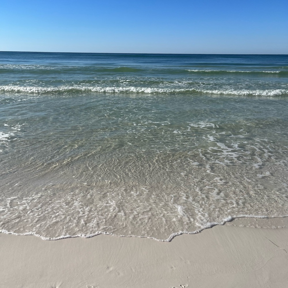 Meet your Posher, Rochelle - Picture 3 of 16